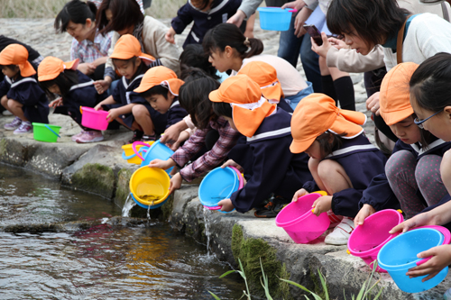 一斉に鮎を放流する