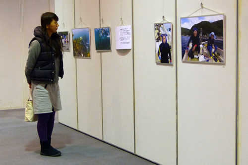 展示のようす