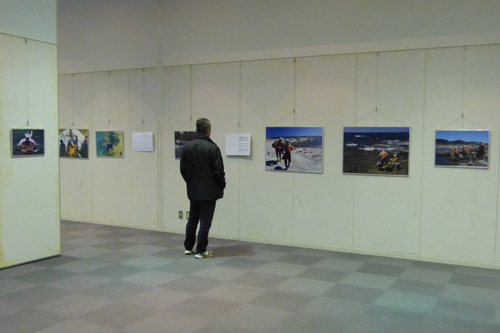 50点が展示