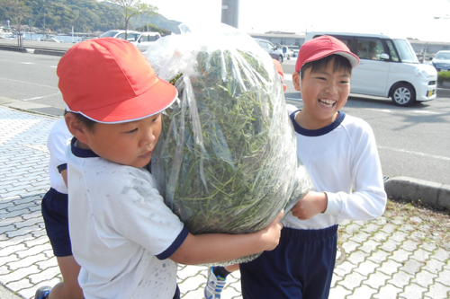 たくさんの雑草が入った袋を運ぶ