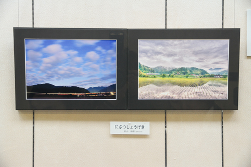 杉山さんの作品