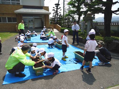 種まきのようす