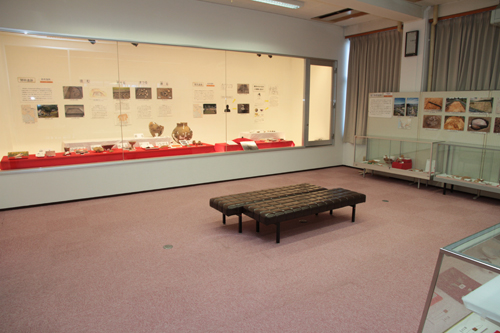 展示のようす