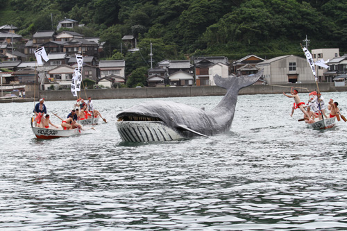 銛打ちを行いながらクジラを湾内に追い込む