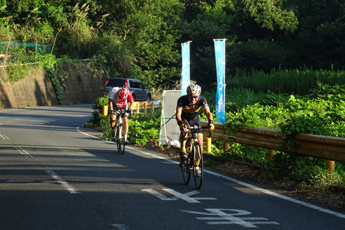 向津具半島を1周する約50kmのコースを走る