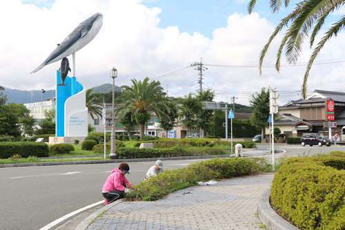 西日本やきとり祭りの会場となる青海島シーサイドスクエア周辺で清掃活動