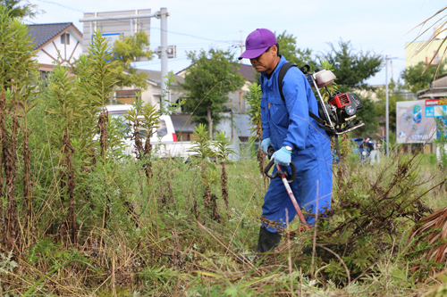 広場の草を刈っていく