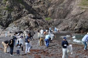 海岸清掃の様子