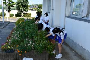 菱中タイム１