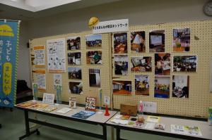 展示