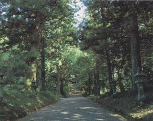 渋木八幡宮の社叢
