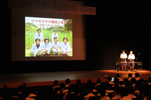 日置校舎からは、イネ科の植物「マコモタケ」の活用方法を提案する発表も行われた
