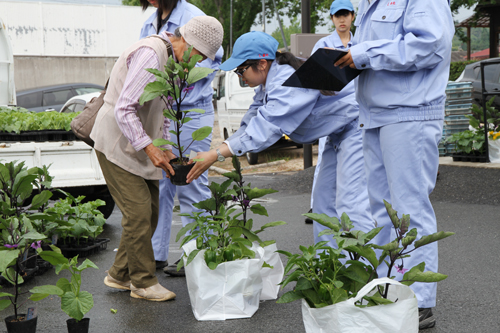 市場の外に並べられた野菜の苗も人気を集めた