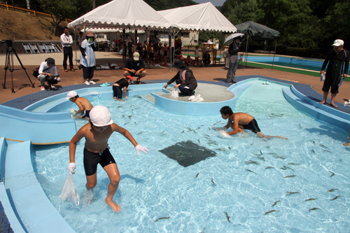 俵山幼児園の園児や俵山小学校の児童がアユのつかみ取りに挑戦