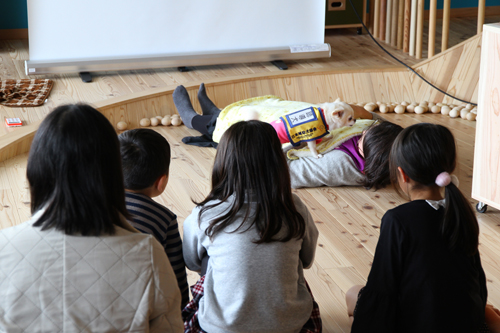 音を聞いた聴導犬こむぎが、寝ている聴導犬ユーザーの堀康子さんを起こす
