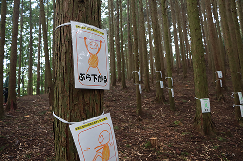 ５歳までに身につけてほしい３６個のうごきを森の中で遊びながら体験