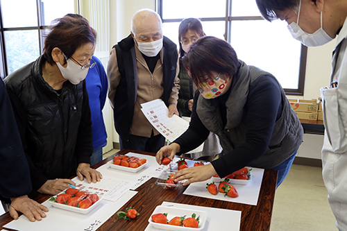 いちごの詰め方、個数、パックの種類などを生産者らが確認した