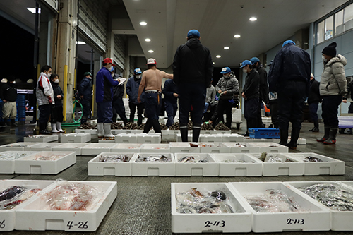 市場はセリ人の威勢の良い掛け声とともに活気に包まれる