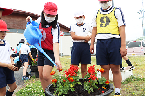 花を植え終わった後はやさしく水やり
