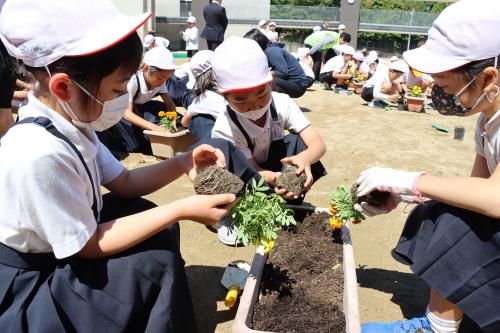 深川小学校で「人権の花」の苗植えが行われた