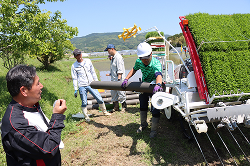 紙マルチは幅190ｃｍで長さ170ｍ
