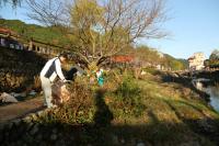 湯本地区では深川川河川遊歩道や国道316号線沿いを清掃